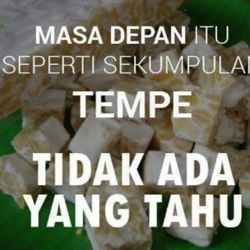 meme tahu (instagram.com/humor_brekele)