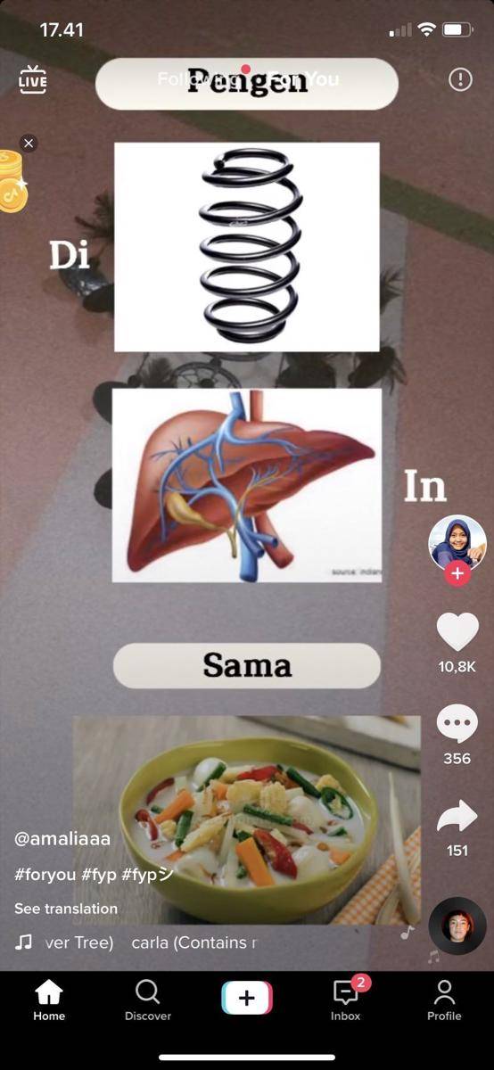 meme rangkaian gambar (tiktok.com/@amaliaaa)