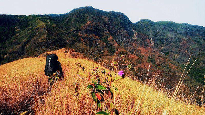 pendaki di Gunung Wilis (commons.wikimedia.org)