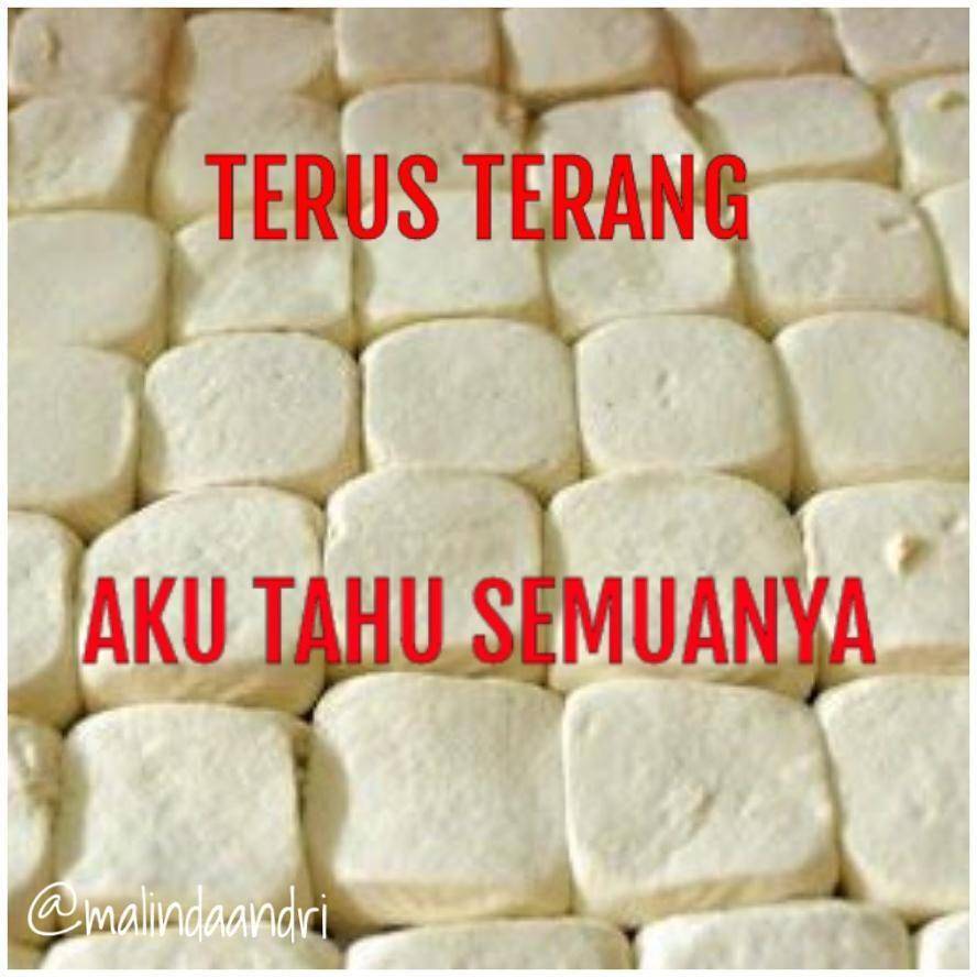 meme tahu (instagram.com/malindaandri)