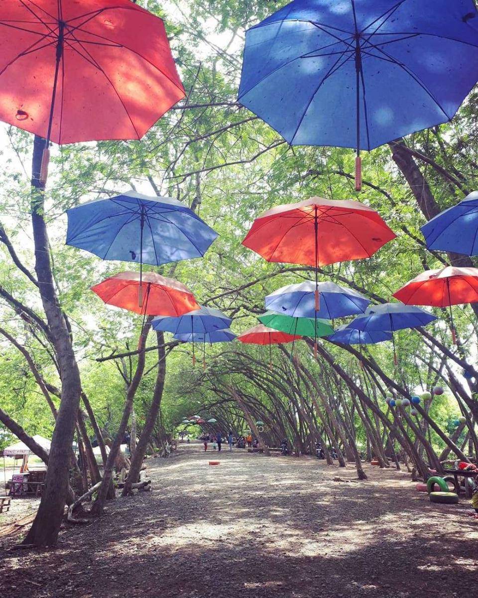 Wisata Pohon Miring Karawang (instagram.com/marlinbayu)