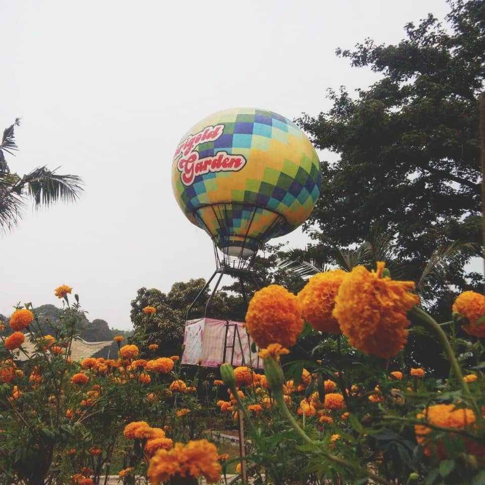Taman Kincir Tamelang (instagram.com/marigold.garden)