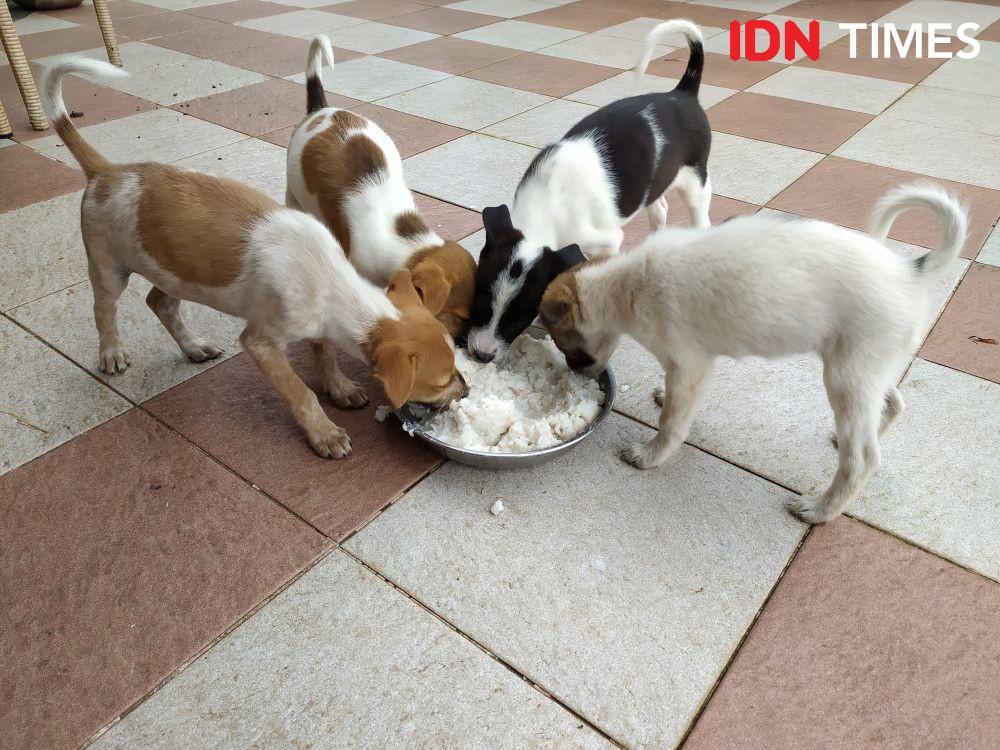 Foto hanya ilustrasi. (IDN Times/Irma Yudistirani)