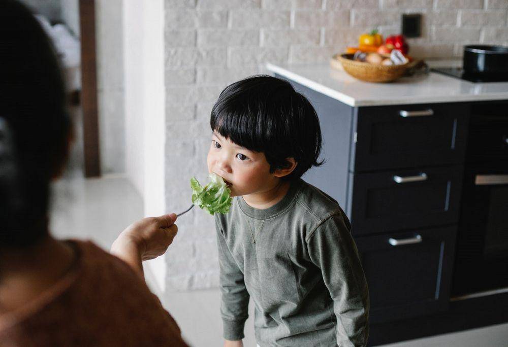 ilustrasi menyuapi anak (pexels.com/alex green)