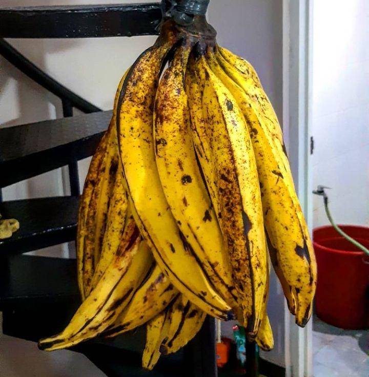 Foto pisang tanduk sebagai bahan utama kue moto belong (Instagram.com/nds_pictures)