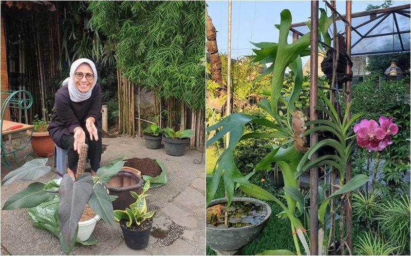 10 Koleksi Tanaman Hias Hetifah Sjaifudian, Cocok di Outdoor!