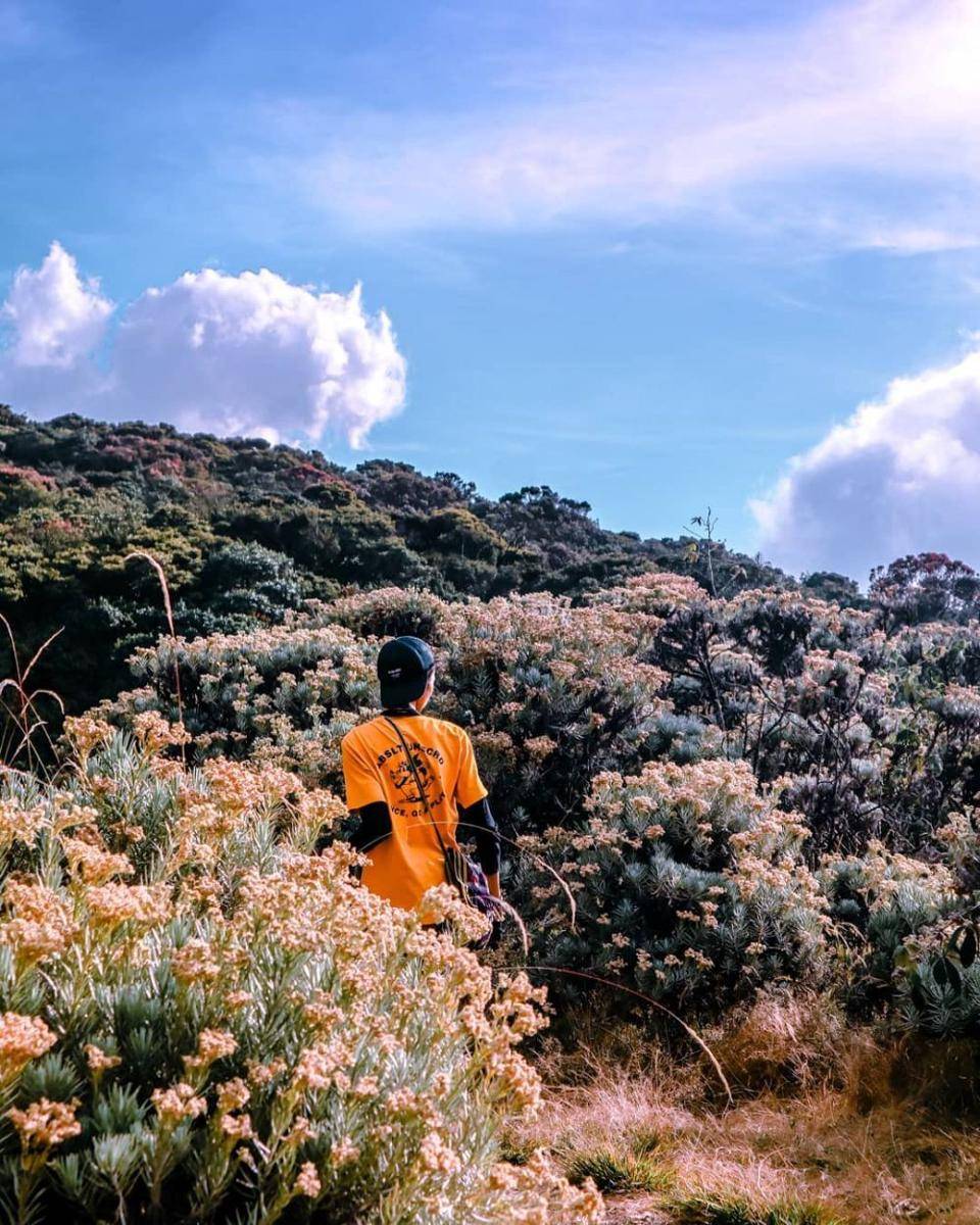 Lembah Mandalawangi (instagram.com/anggitt.k)