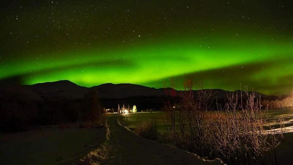 5 Kota Terbaik di Norwegia untuk Menyaksikan Aurora, Menakjubkan!