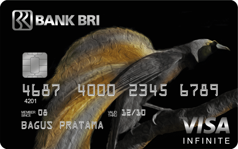 Kartu Kredit BRI Infinite (dok. kartukredit.bri.co.id)
