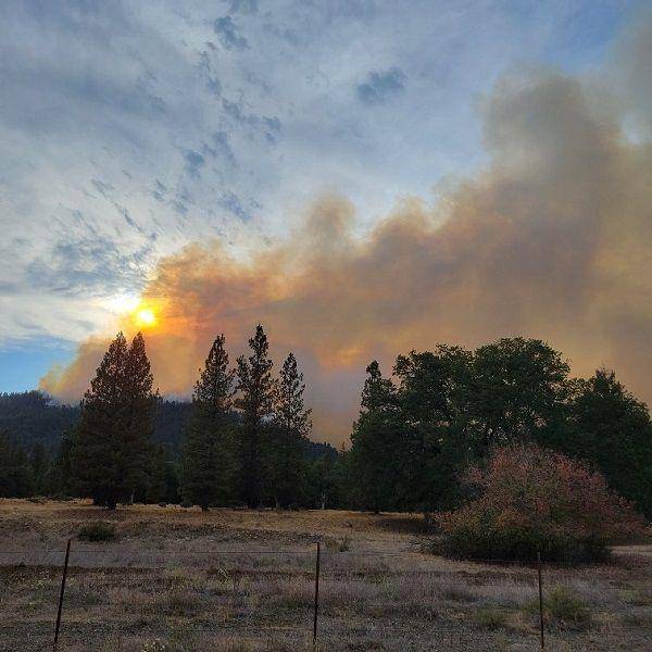 Peristiwa kebakaran hutan yang terjadi di California, Amerika Serikat. (Twitter.com/bakercub)