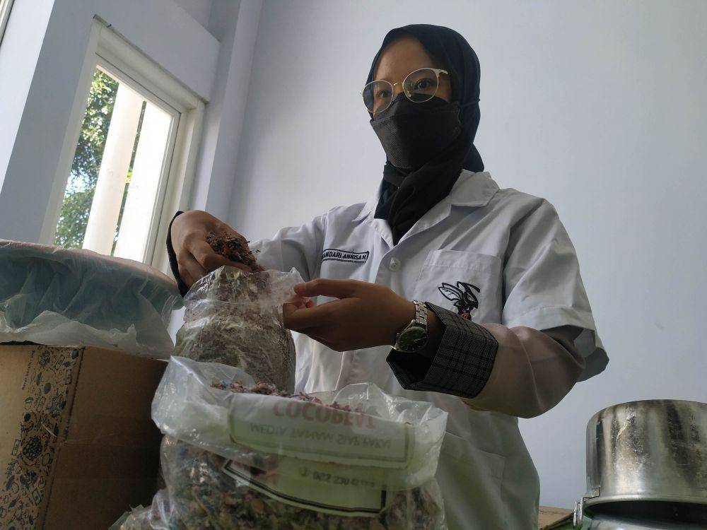 Limbah uang yang sudah dilakukan proses pengambilan serat kapasnya untuk media tanam jamur tiram. IDN Times/Alfi Ramadana