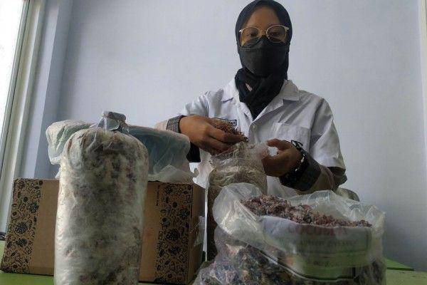Proses pencampuran serat kapas limbah uang kertas dengan bahan lainnya untuk media penanaman jamur. IDN Times/Alfi Ramadana