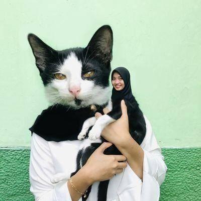 kucing pakai filter wajah (twitter.com/kochengfess)