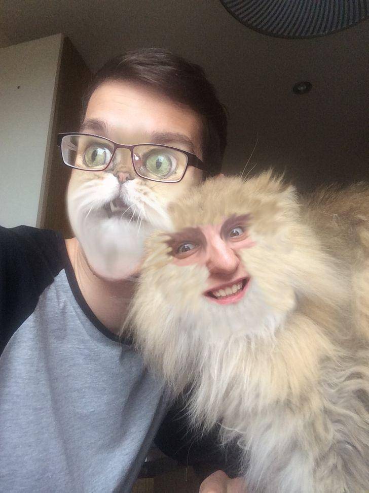 kucing pakai filter wajah (brightside.me)