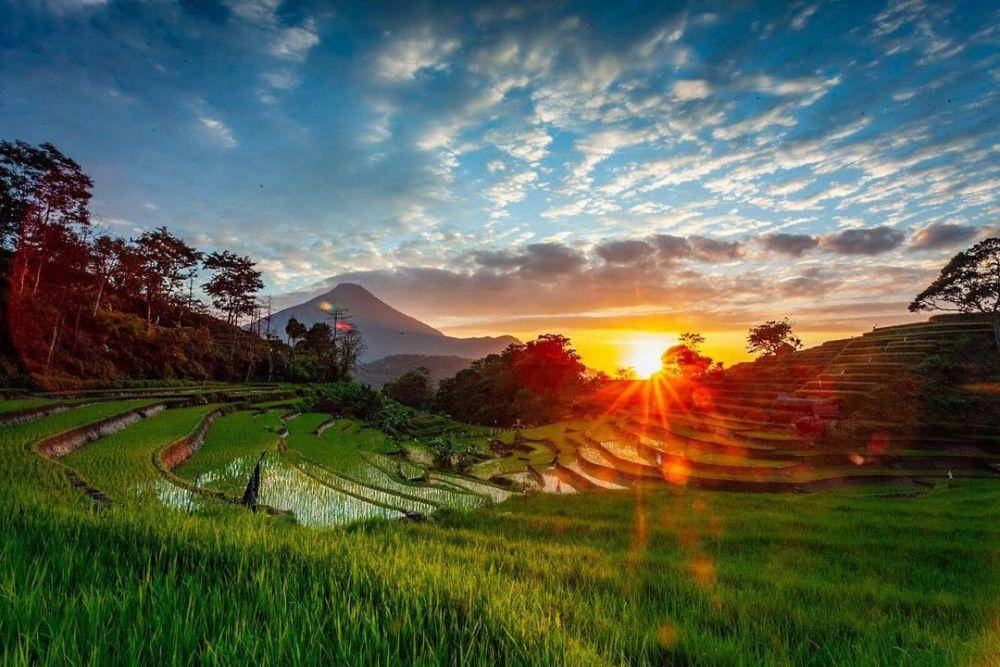 potret terasering Selotapak (instagram.com/ekosumartopo)