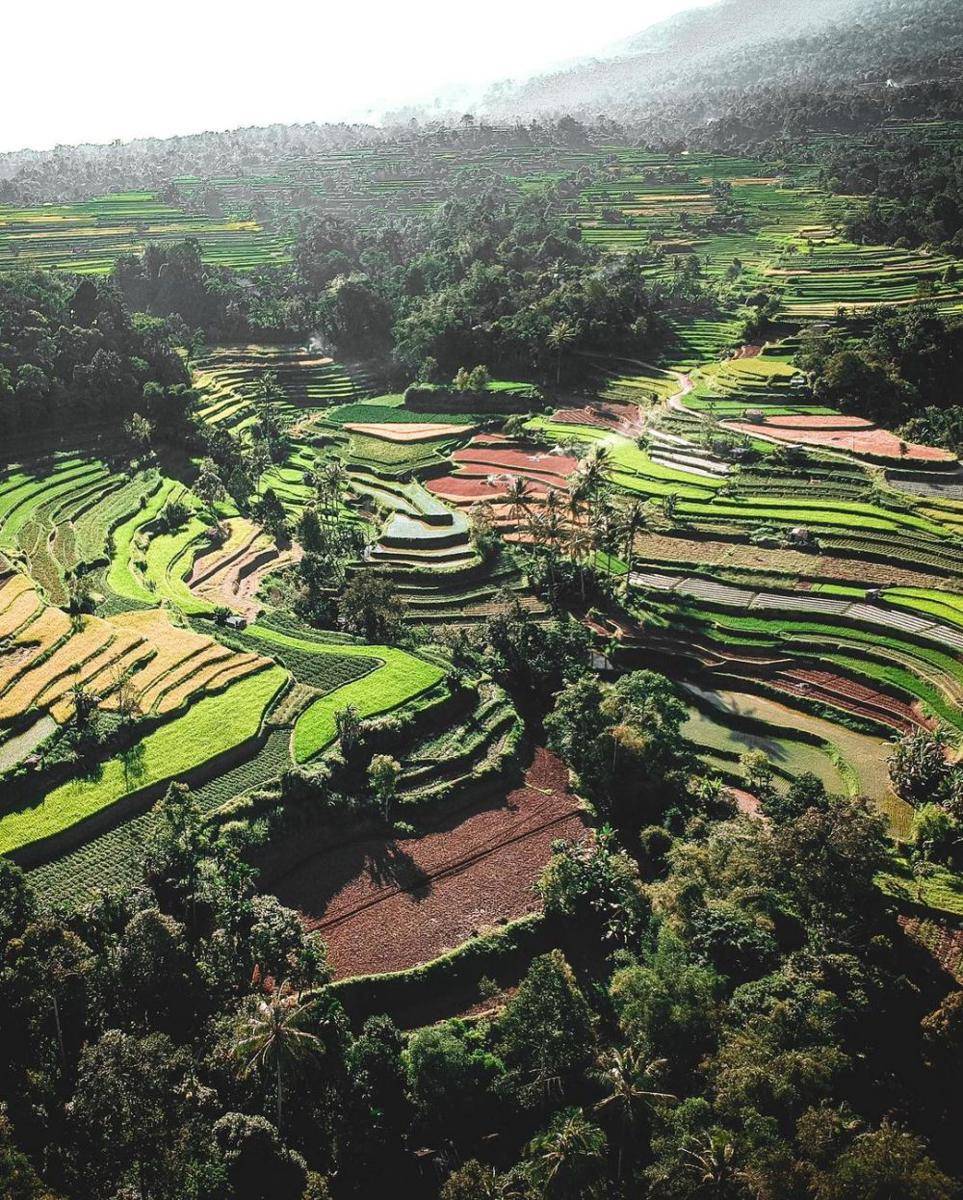 potret terasering Pariangan (instagram.com/areaputra_)