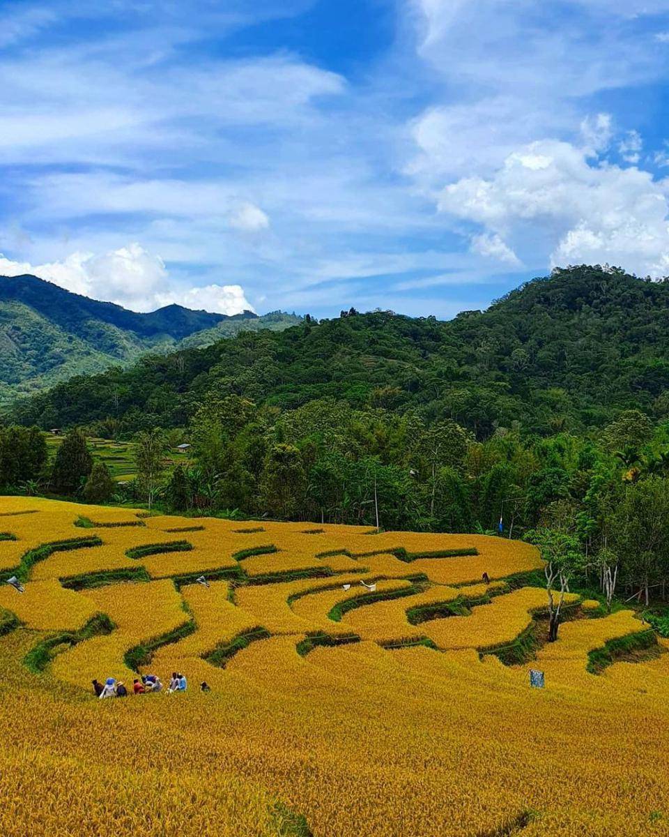 potret terasering Detusoko (instagram.com/thedodojourney)