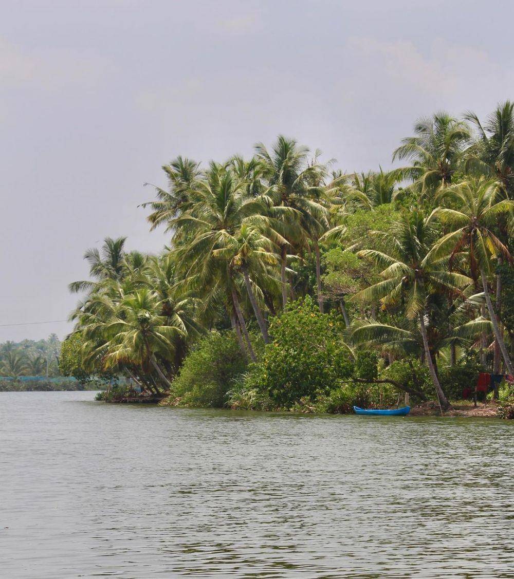 Kerala Backwaters (instagram.com/kefi_thecheerfullife)