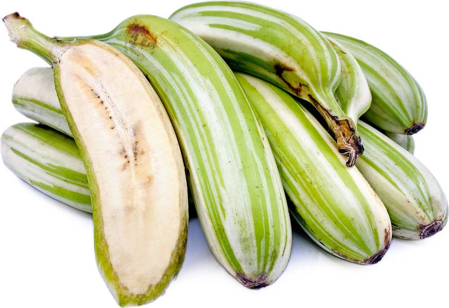 ilustrasi pisang berwarna hijau dan putih (specialtyproduce.com)