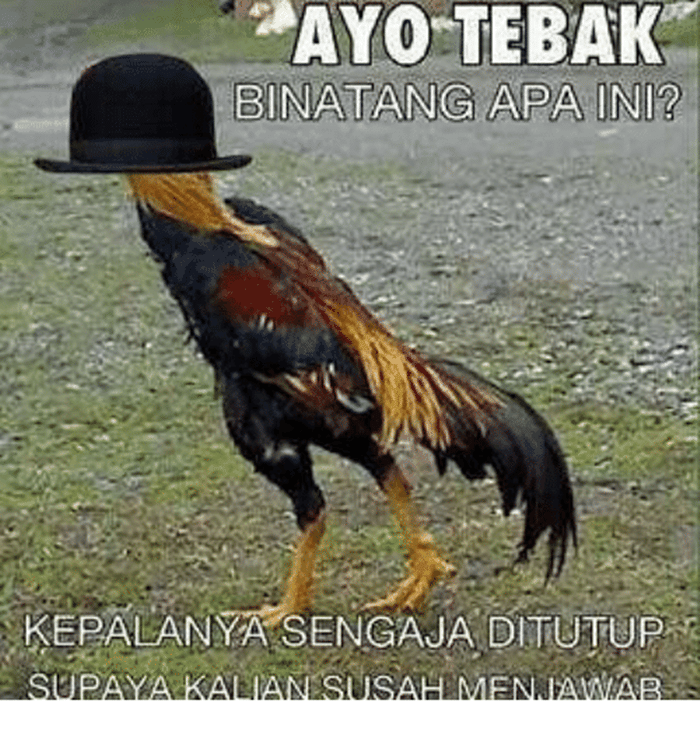 meme tebakan (1cak.com)