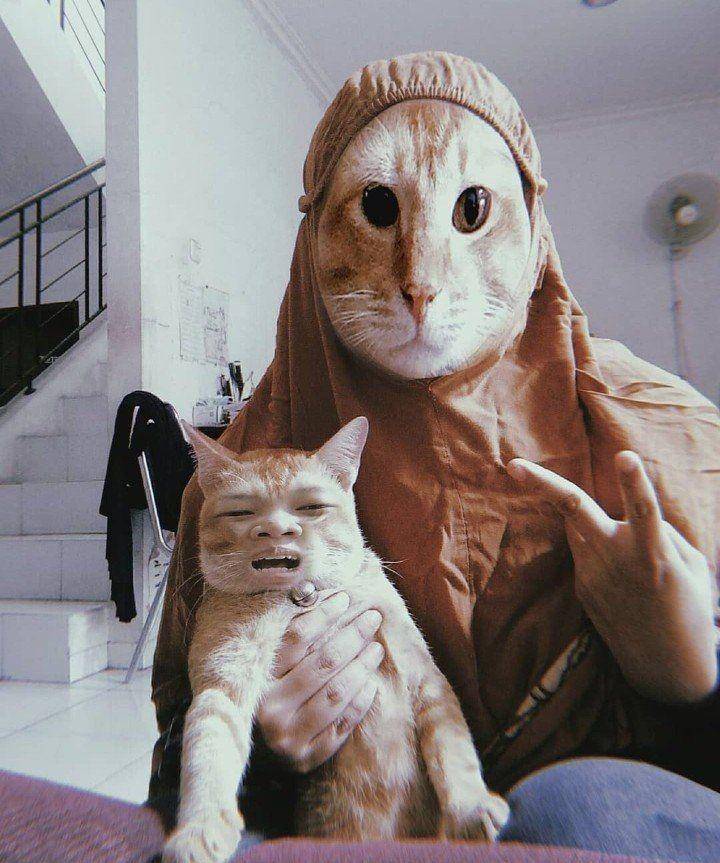 kucing pakai filter wajah (twitter.com/dinoicecup)