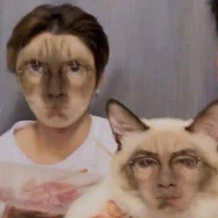 kucing pakai filter wajah (twitter.com/jeandruu)