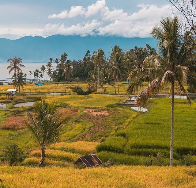 potret terasering Danau Maninjau (instagram.com/exploremaninjau)