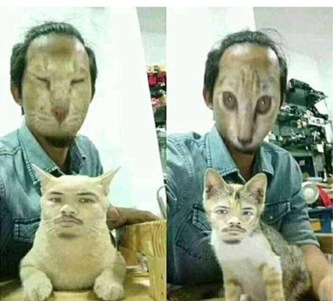 kucing pakai filter wajah (twitter.com/menboongie)
