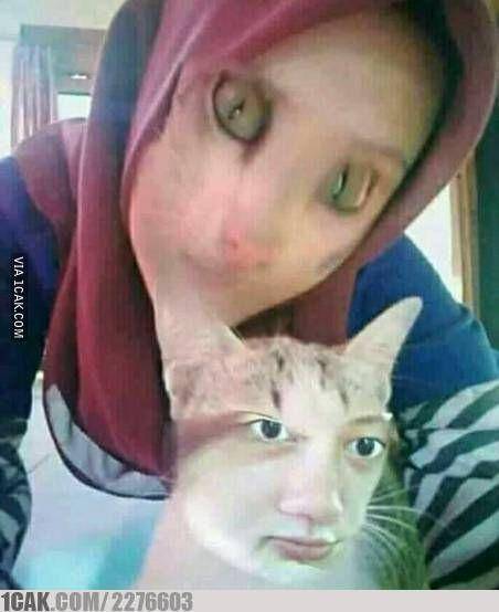 kucing pakai filter wajah (1cak.com)
