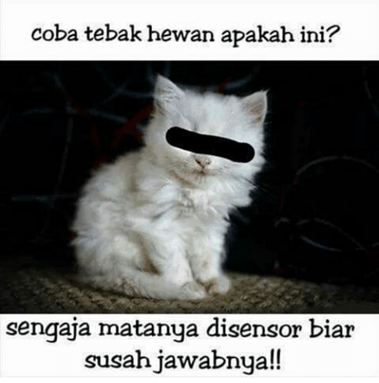 meme tebakan (twitter.com/kochengfess)