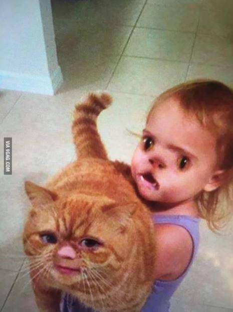 kucing pakai filter wajah (9gag.com)