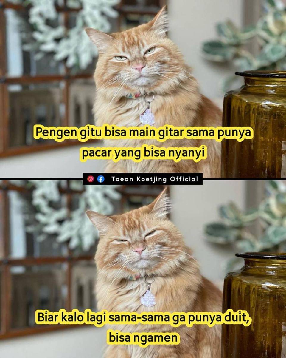 meme halu (instagram.com/toeankoetjingofficial)