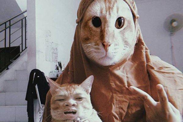 kucing pakai filter wajah (twitter.com/dinoicecup)