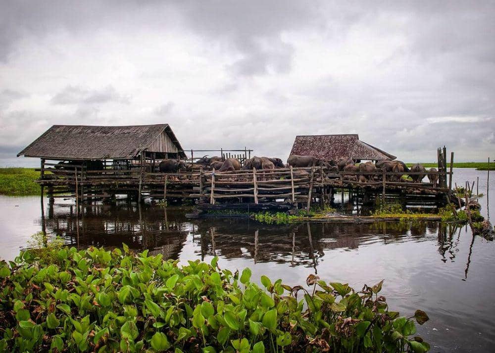5 Wisata di Hulu Sungai Selatan, Kalsel, yang Indahnya Gak Ada Obat!