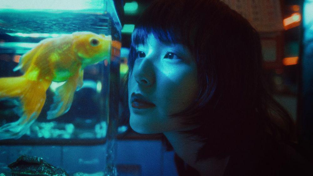 ilustrasi perempuan menatap ikan di akuarium (pexels.com/Khoa Võ)