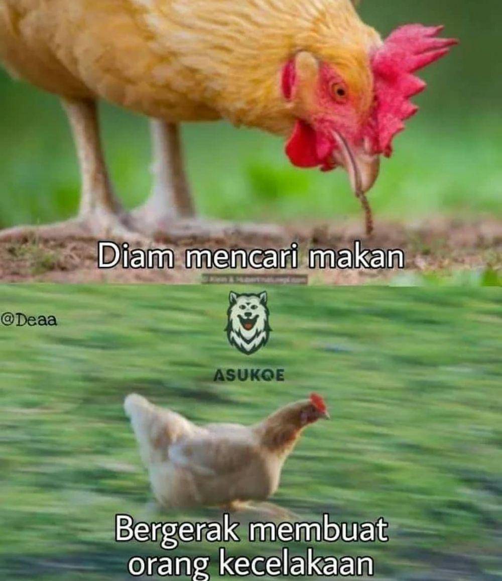 meme diam-diam bergerak (instagram.com/recehtapiviral)