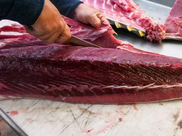 ilustrasi daging ikan tuna (pexels.com/Kindel Media)