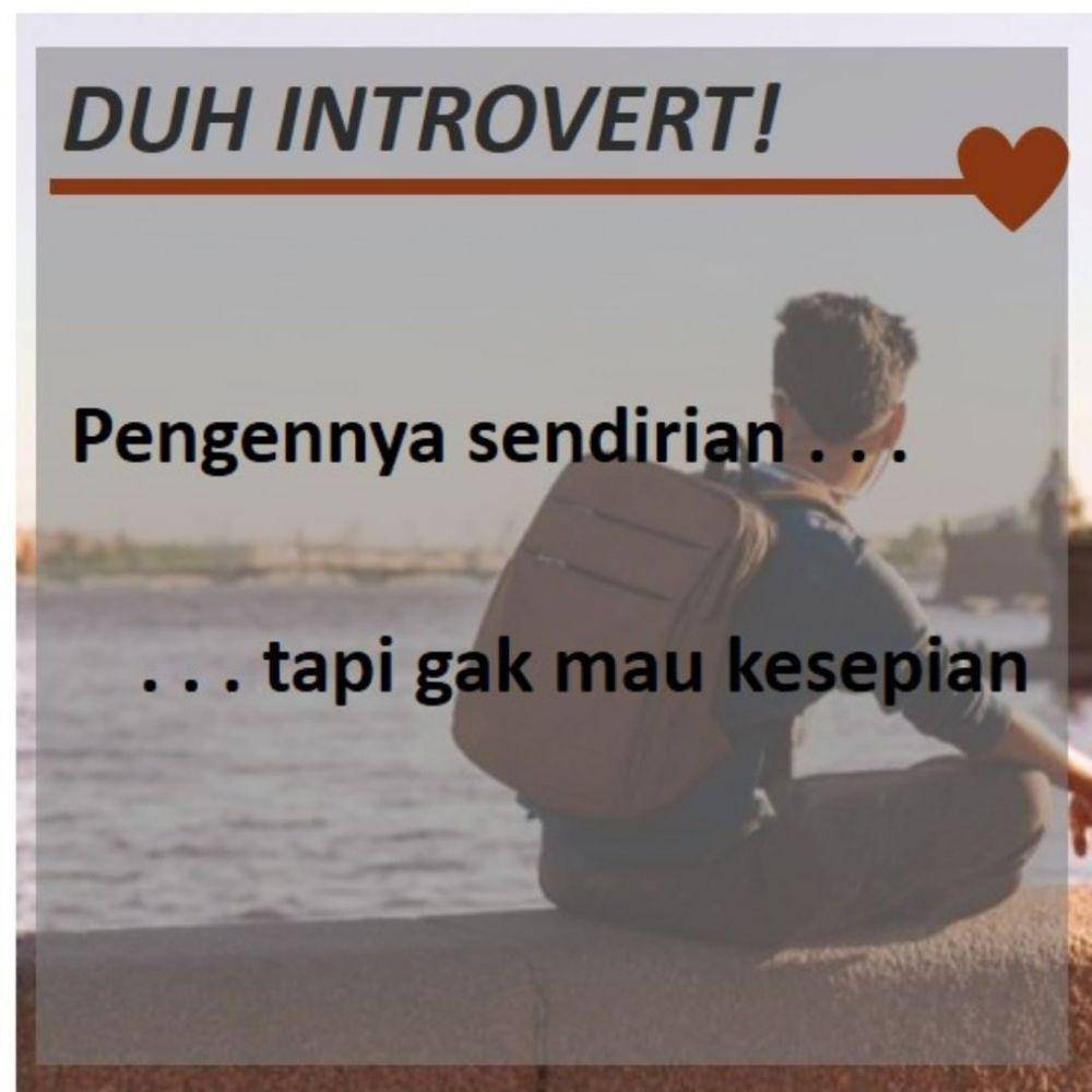 fakta introvert (instagram.com/introvert.hub)