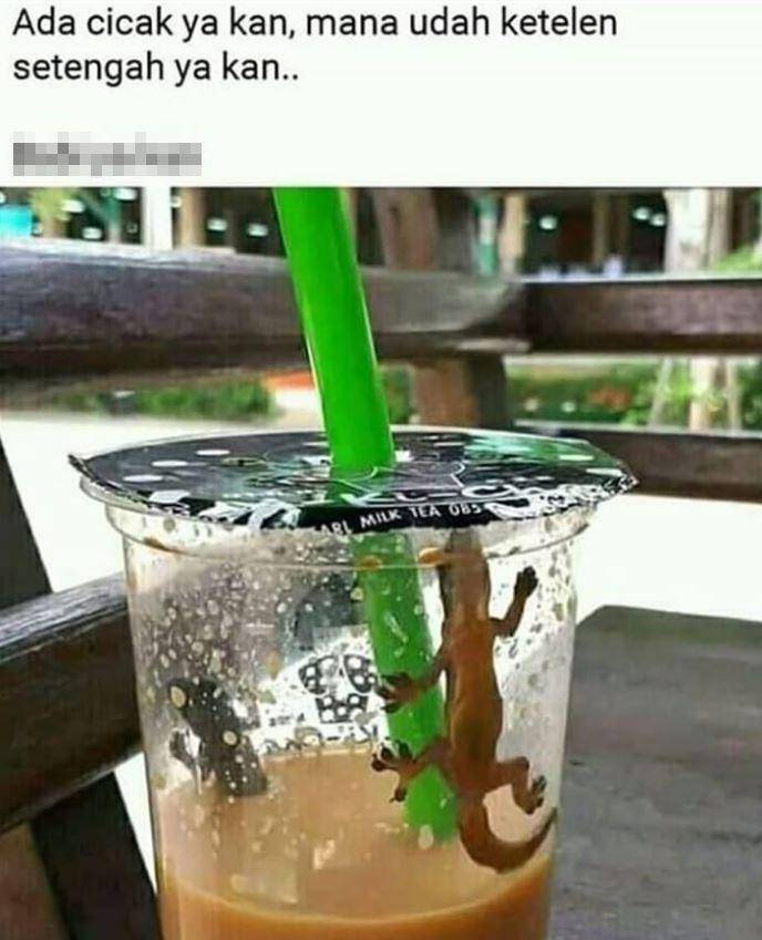 momen apes beli makanan (Instagram.com/memengawurindonesia)