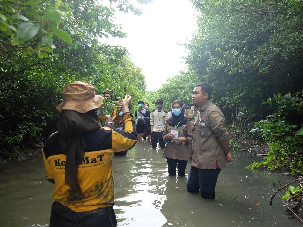 Anggota dan sukarelawan Kesemat melakukan aktivitas di area konservasi mangrove di Semarang dan Jepara. (dok. Kesemat)