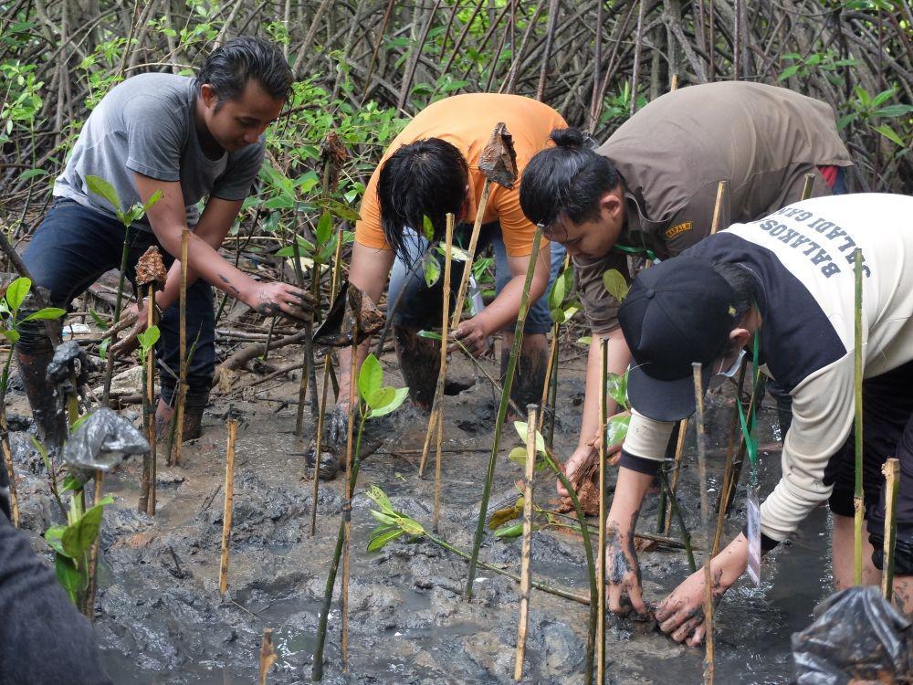 Anggota dan sukarelawan Kesemat melakukan aktivitas di area konservasi mangrove di Semarang dan Jepara. (dok. Kesemat)