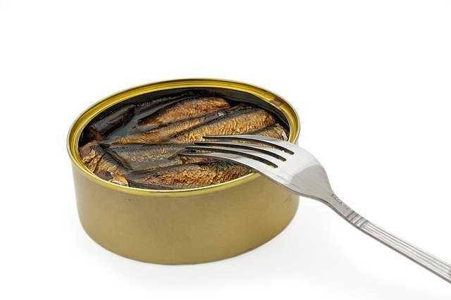 ilustrasi ikan kalengan (picabay.com/ds_30)