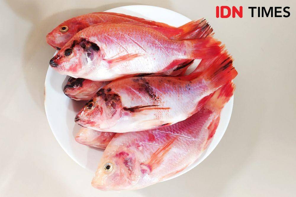 Sekilo gram ikan nila (IDN Times/Intan Deviana)