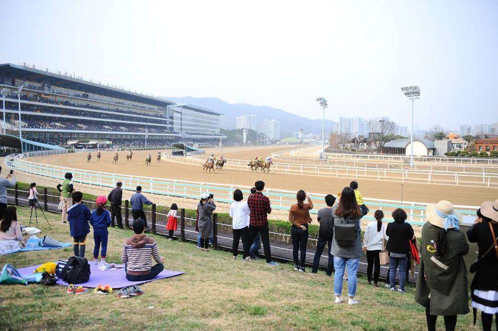 potret suasana lomba pacuan kuda di LetsRun Park Seoul (instagram.com/letsrunpark_seoul)