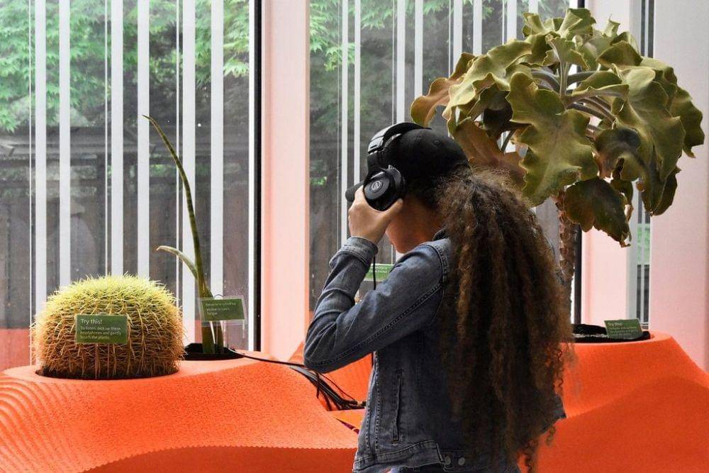 ilustrasi musik dan tumbuhan (news.artnet.com)