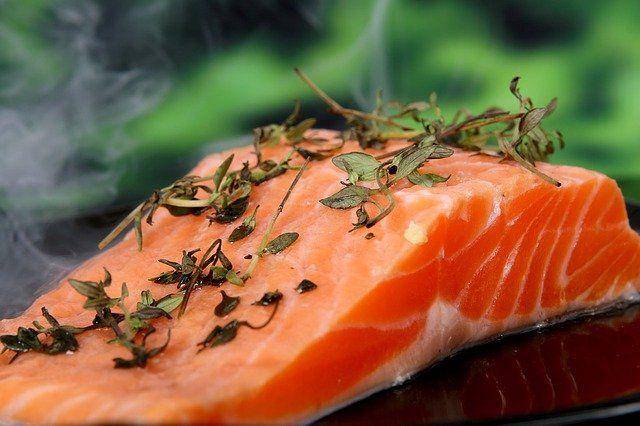 ilustrasi ikan salmon (pixabay.com/Shutterbug75)