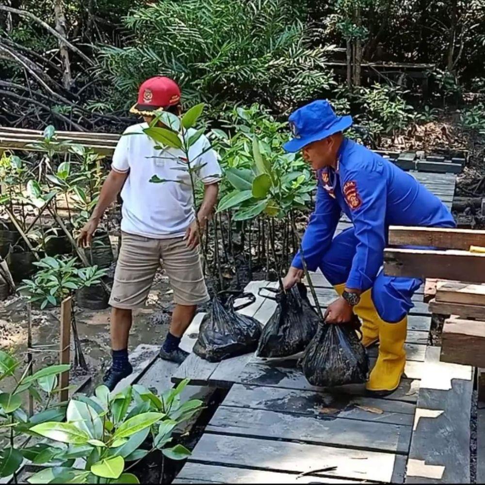 Aktivitas Bripka Taufik Ismail dalam membantu penanaman mangrove di masyarakat Balikpapan Kaltim. Foto istimewa