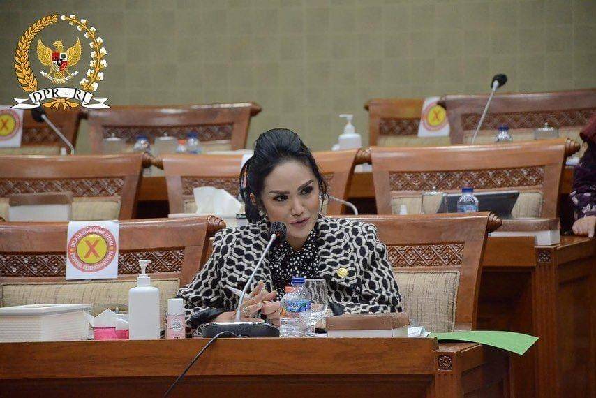 Krisdayanti di gedung DPR (instagram.com/krisdayantilemos)