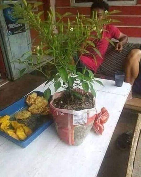 makan bareng-bareng kocak (instagram.com/rakyat_plus_62)