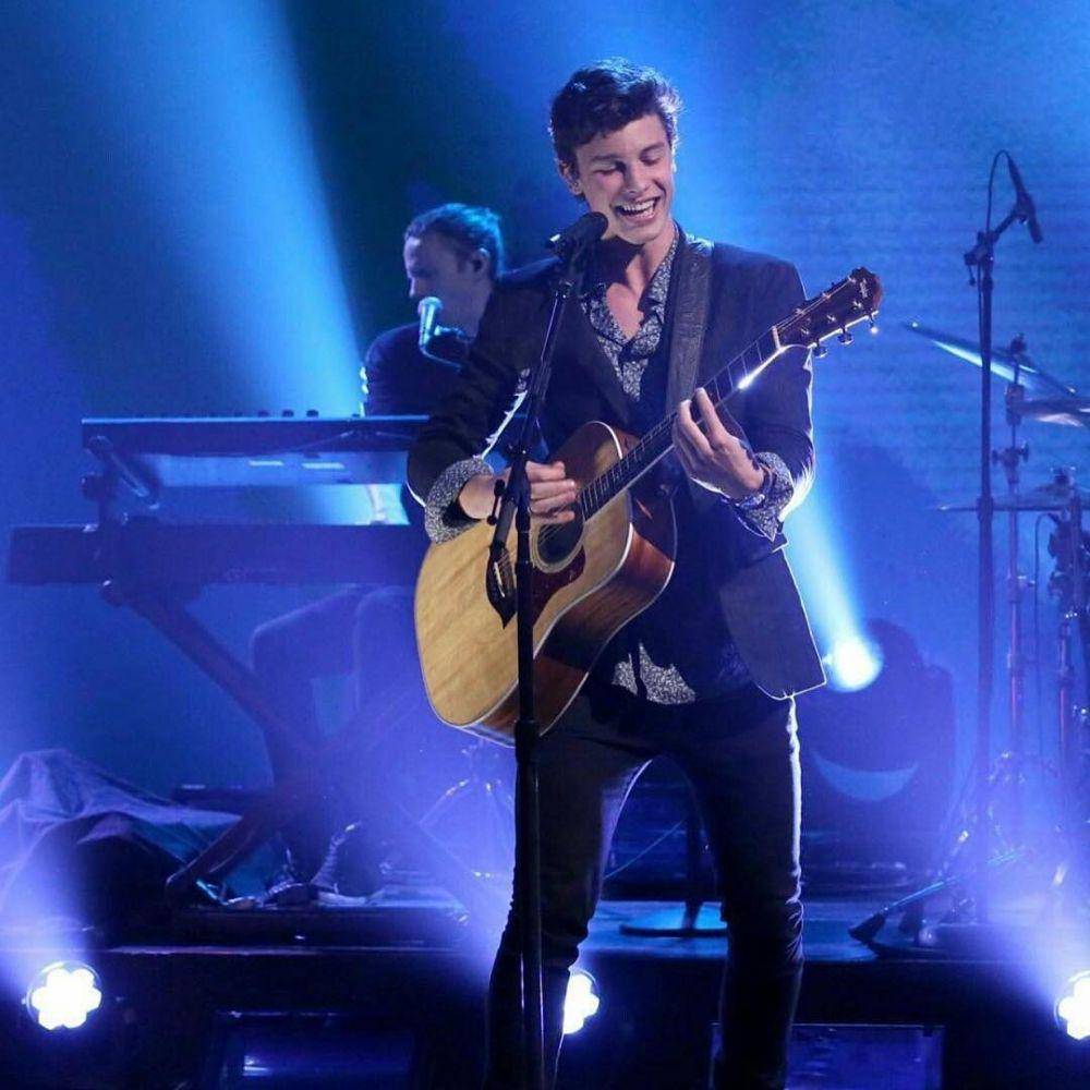 Shawn Mendes (instagram.com/shawnmendes)